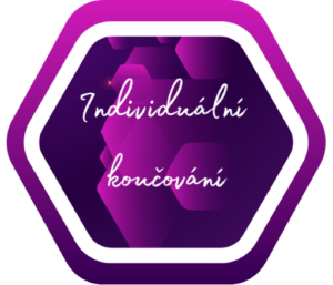 Individuální koučování
