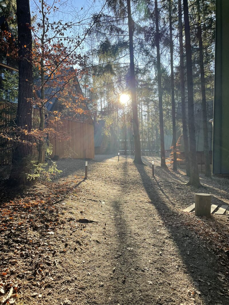 témata do koučování