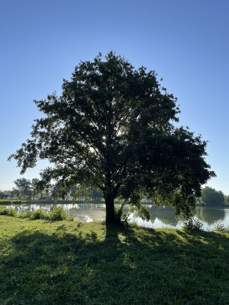 Ne každý individuální kouč to dokáže.