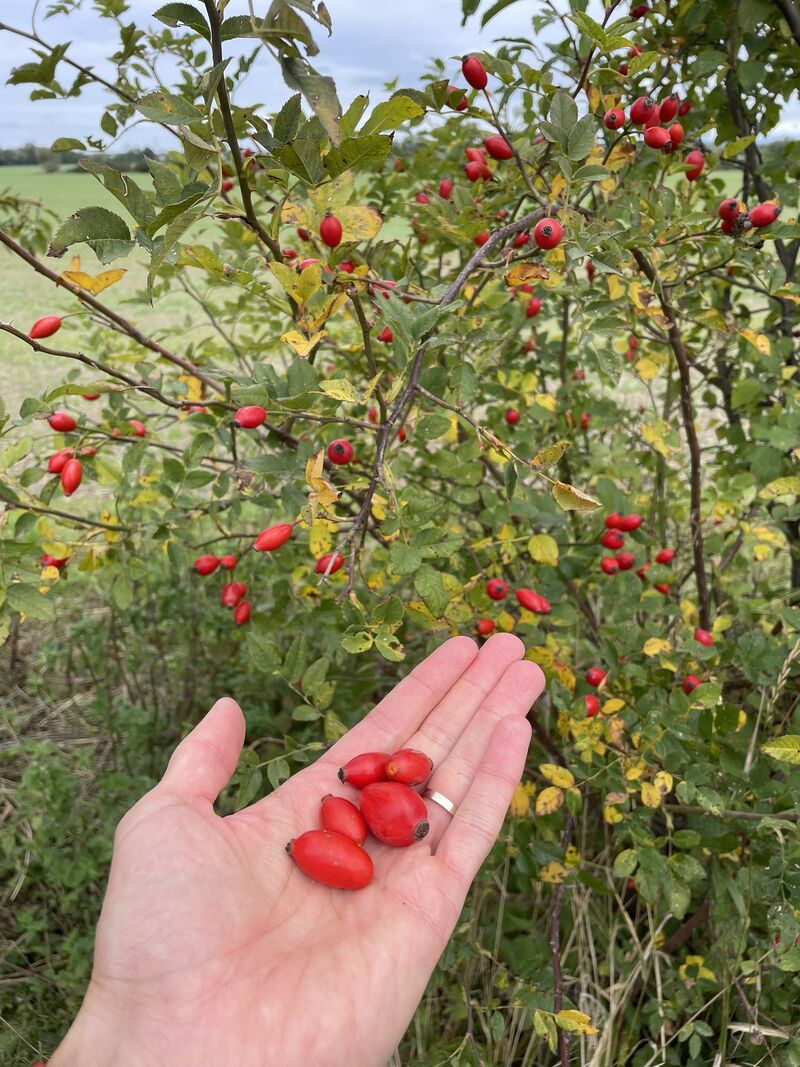 Občas nás v zaměstnání posílají k šípku