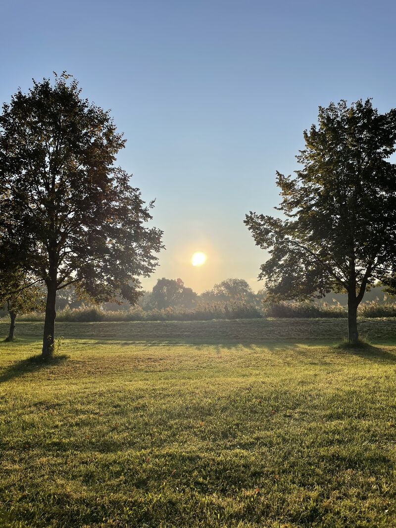 Potřebujete udělat konkrétní rozhodnutí?