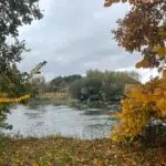 Jsme jak divoké kachny, jedna se zvedne a letí všechny
