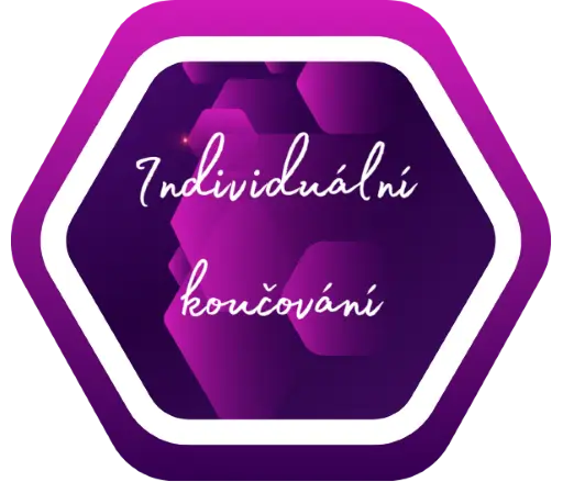 Individuální koučování – web