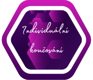 Individuální koučování