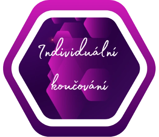 Individuální koučování – web
